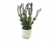 022 Flowers