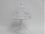BI0014 Patera