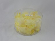 CC24430 Figurines & Other Decorative Articles