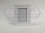 MSW1022Frame